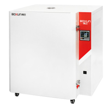 上海博迅高溫鼓風(fēng)干燥箱BGG-38