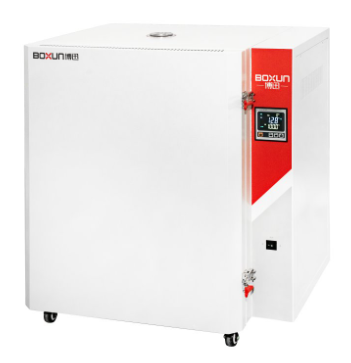 上海博迅高溫鼓風(fēng)干燥箱BGG-79